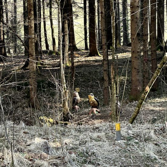Eine Waldszene zeigt einen großen Baum mit einem gelben Schild, das mit '22' beschriftet ist. Zwei Tiere, möglicherweise Bären, sind am Boden. Das Gebiet ist mit trockenem Gras und gefallenen Blättern bedeckt.