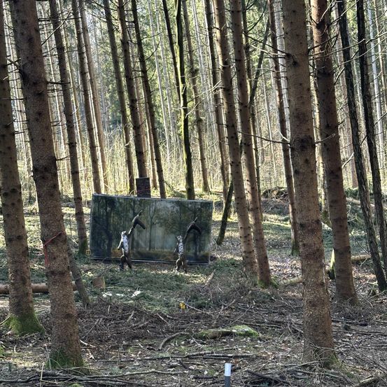 Ein Wald mit hohen Bäumen, einer großen flachen Fläche mit einem reflektierenden Stück und zwei menschenähnlichen Figuren davor.
