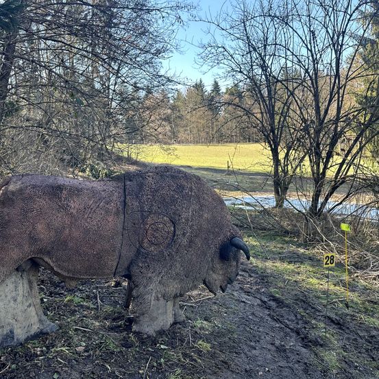 Eine lebensgroße Bison-Statue steht auf einem Grasfeld mit Bäumen im Hintergrund. Sie hat einen gelben Aufkleber mit der Nummer 28 auf dem Boden.