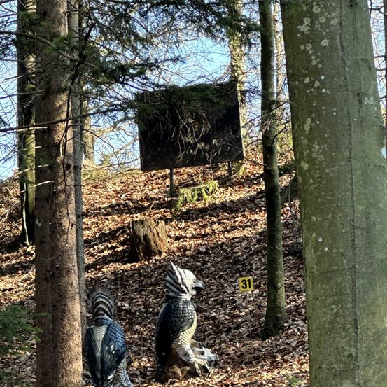 In einem bewaldeten Bereich stehen zwei Vogelskulpturen, eine mit '31' markiert, in der Nähe eines Baumes und eines moosbedeckten Schildes. Der Boden ist mit Laub bedeckt.