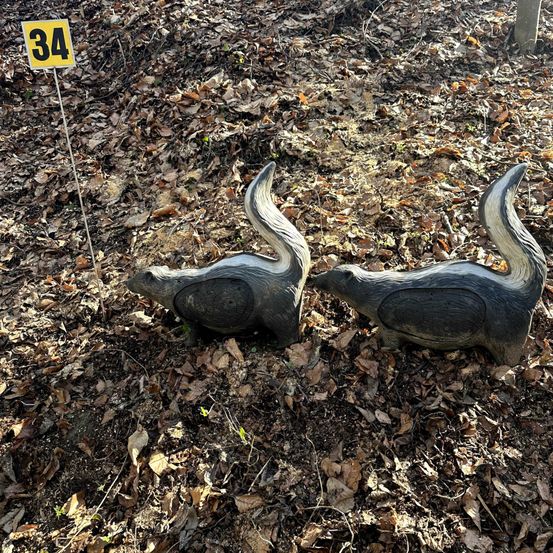 Zwei graue Skunk-Statuen liegen auf dem Boden, der mit trockenen Blättern bedeckt ist, mit einem gelben Schild, das '34' anzeigt.