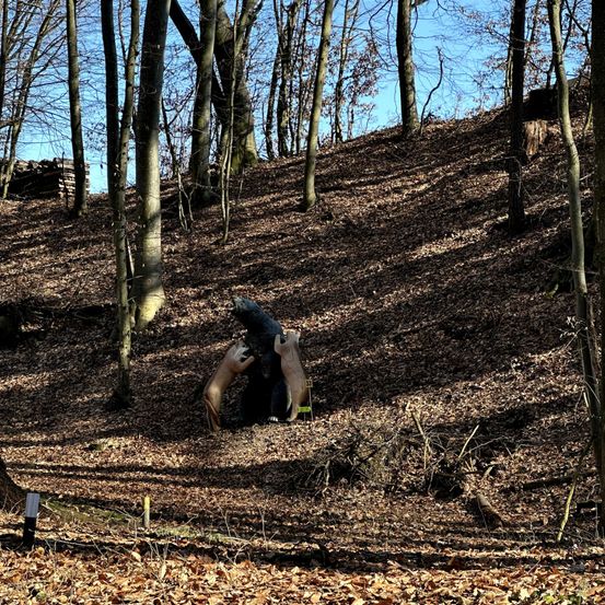 Eine Person befindet sich in einem Wald, möglicherweise beim Wandern, mit drei in den Boden geschnitzten Bären. Der Wald ist von Bäumen umgeben und hat eine sanfte Steigung. Links befindet sich ein Holzhaufen.
