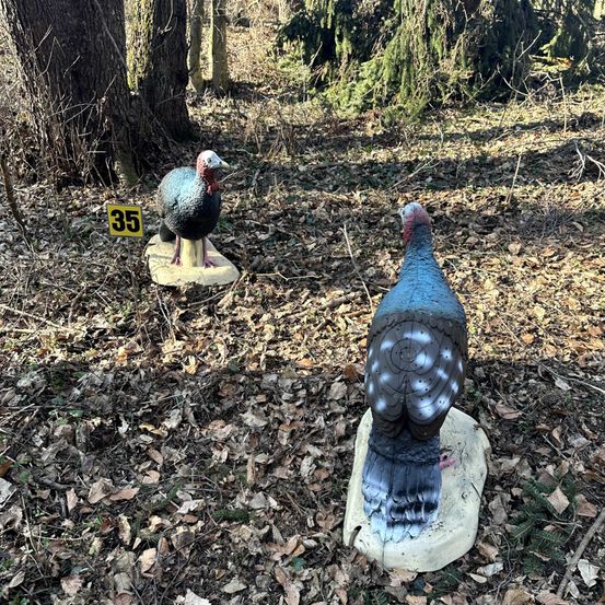 Zwei Truthahn-Attrappen befinden sich in einem bewaldeten Gebiet. Hinter einer der Attrappen befindet sich ein Schild mit der Nummer 35. Beide Attrappen sind von gefallenen Blättern umgeben.