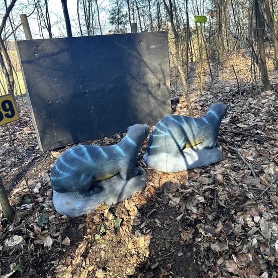 Zwei graue Otterstatuen liegen neben einem schwarzen Zielbrett mit Einschusslöchern auf dem Boden. Die Szene spielt sich in einem Wald mit gefallenen Blättern ab.