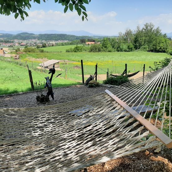 Furniture, Grass, Vegetation, Tree, Nature, Outdoors, Scenery, Park, Hammock, Yard