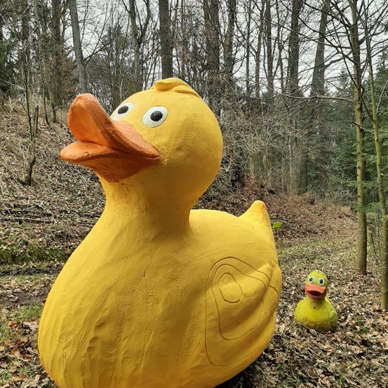 Plant, Vegetation, Animal, Beak, Bird, Tree, Outdoors, Duck, Nature, Woodland