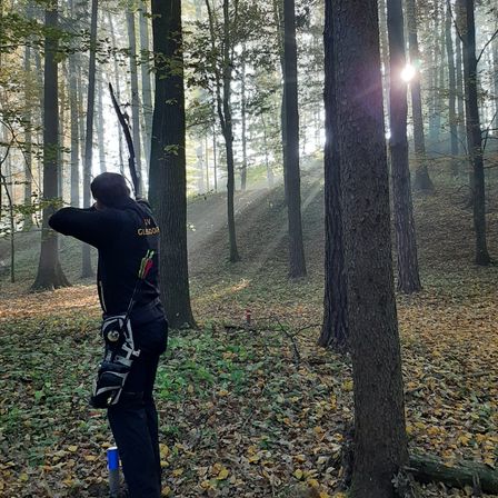Vegetation, Grove, Land, Tree, Woodland, Flare, Person, Sunlight, Jungle, Weapon