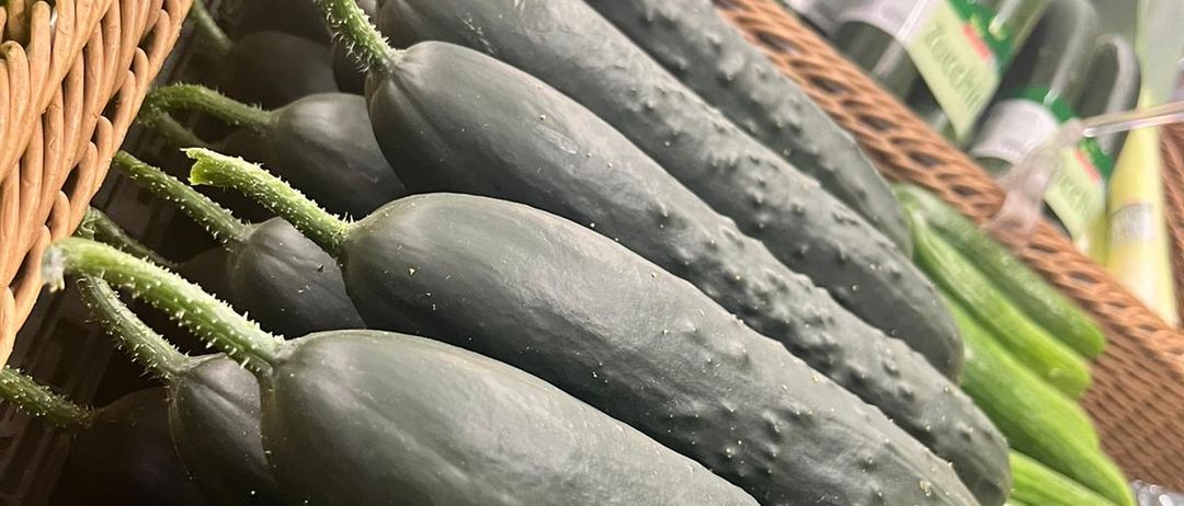 Food, Plant, Produce, Squash, Vegetable, Zucchini, Mortar Shell, Weapon