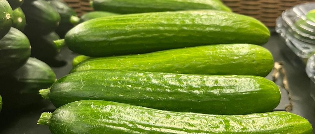 Food, Plant, Produce, Squash, Vegetable, Zucchini, Cucumber