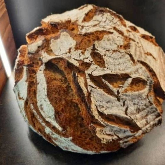 v1_migrated_image_11229764