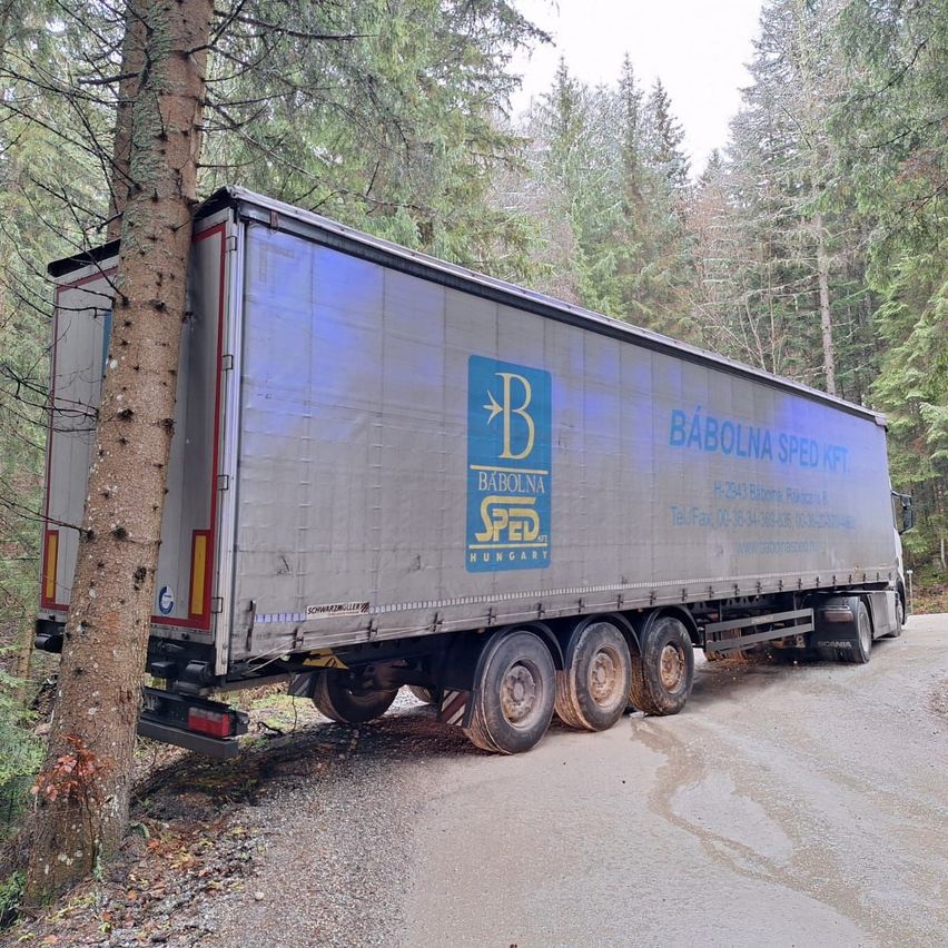 Ein Lastwagen mit Baboina Sped Logo ist in einem Baum auf einer schmalen Straße in einem bewaldeten Gebiet stecken geblieben.