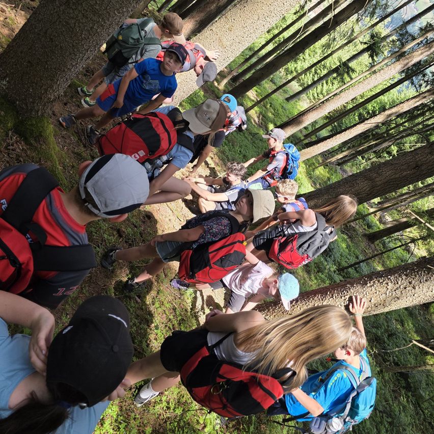 A group of children in a forest, wearing backpacks and hats, are looking up at the camera. They are standing on a narrow path surrounded by tall trees.