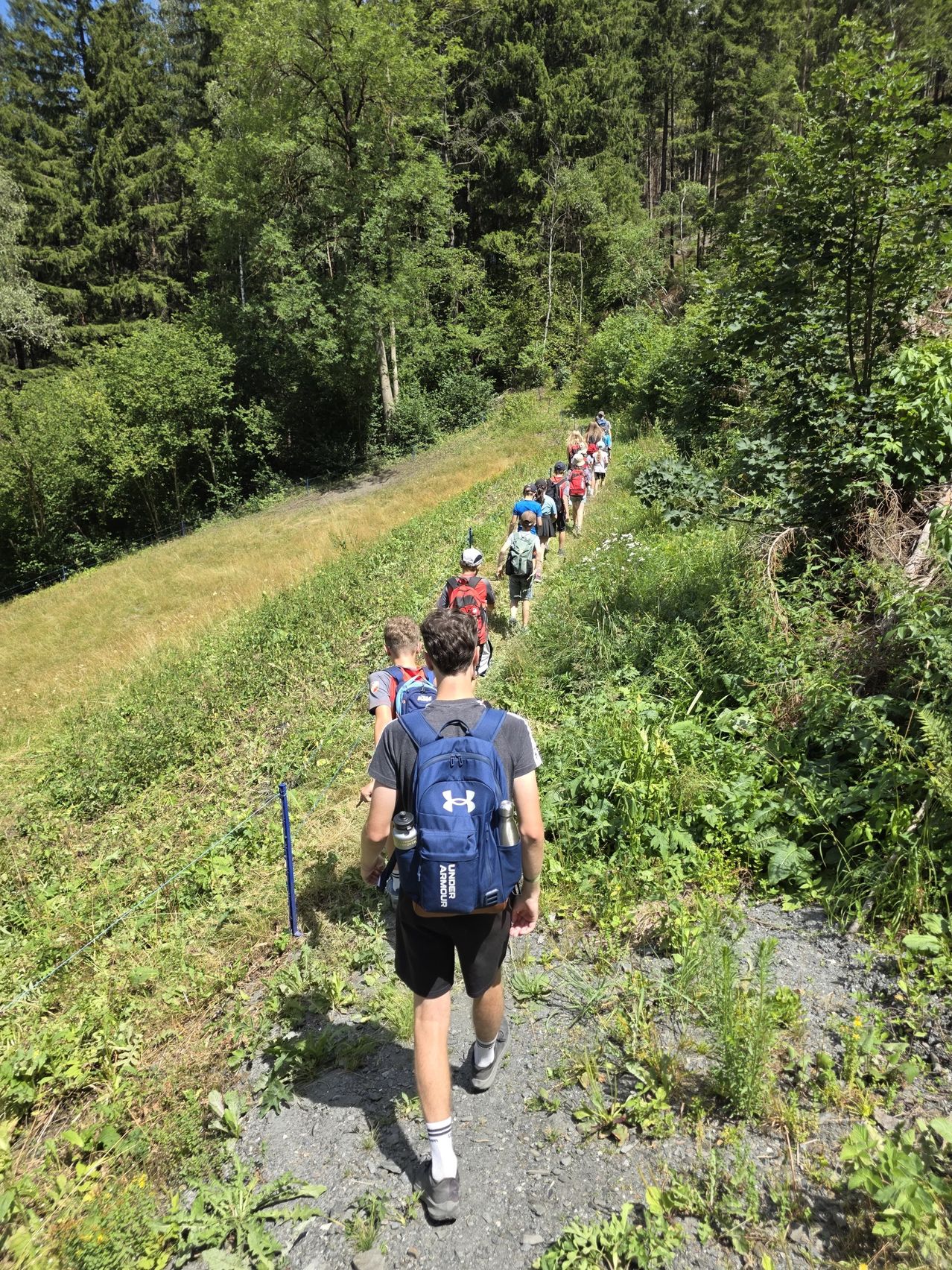 A group of hikers with backpacks are walking up a steep grassy hill in a forest.