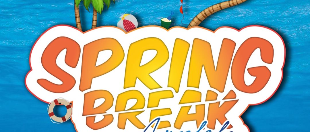 Spring Break Arnfels Plakat mit Ozean, Palmen und Strandball. Datum: 08. Juni 2025, 21:00 Uhr. Ort: Markthalle Arnfels. Ticketpreise: VVK 6 €, AK 8 €.