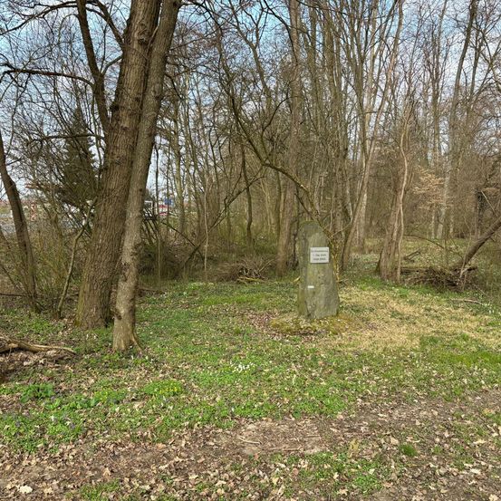 Ein Stein mit einer Informationstafel steht in einem dichten Wald. Das Gebiet ist von Bäumen und grünem Gras umgeben. Der Himmel ist klar.