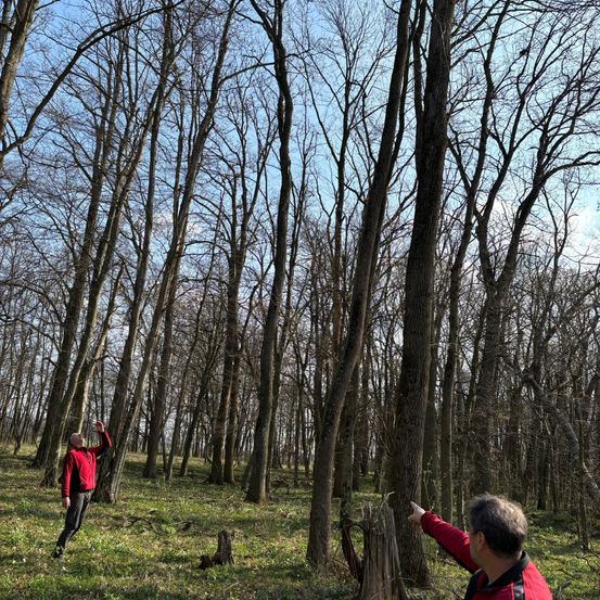 Zwei Personen in roten Jacken stehen in einem dichten Wald und zeigen auf etwas über ihnen. Die Bäume haben keine Blätter.