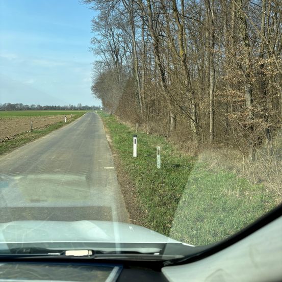 Eine leere Landstraße, gesäumt von grünem Gras und Bäumen, mit einem klaren Himmel darüber.