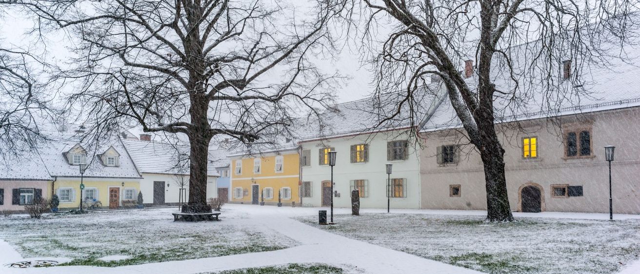 Ein verschneiter Innenhof mit zwei großen Bäumen und einem schneebedeckten Weg. Gebäude mit gelben und weißen Fassaden befinden sich hinter den Bäumen.