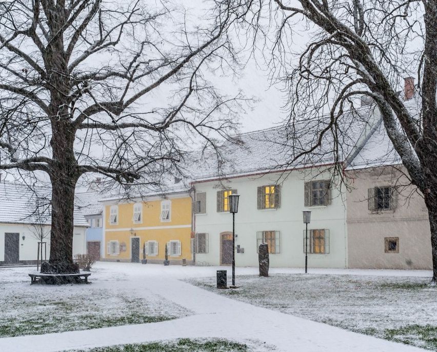 Ein verschneiter Innenhof mit zwei großen Bäumen und einem schneebedeckten Weg. Gebäude mit gelben und weißen Fassaden befinden sich hinter den Bäumen.
