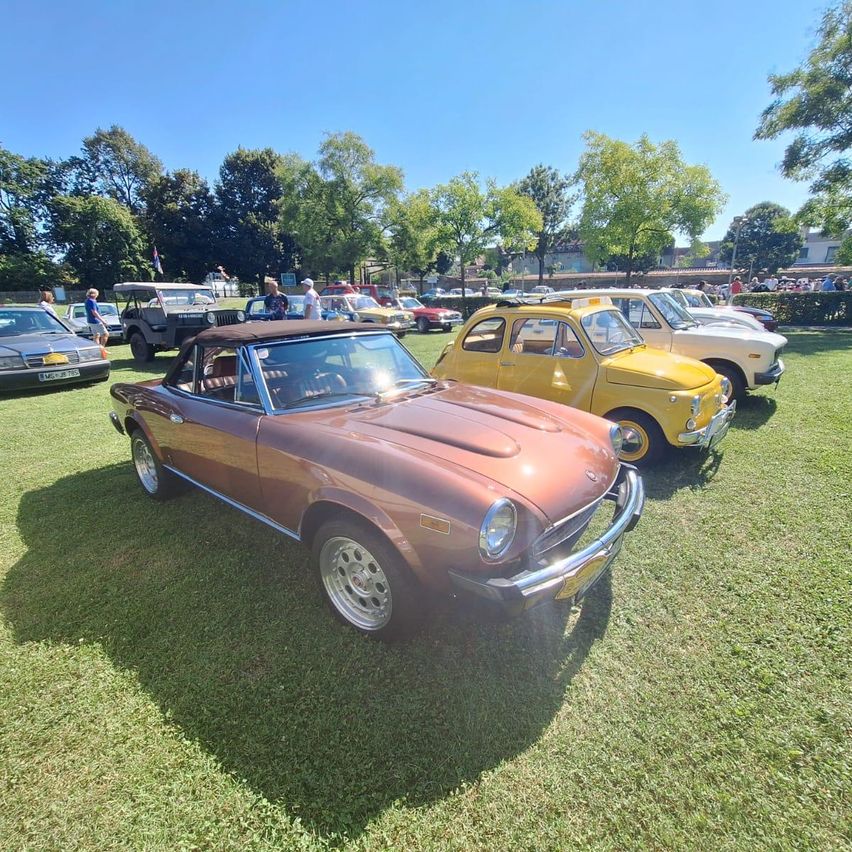Eine Oldtimer-Ausstellung im Freien mit mehreren klassischen Autos auf einem Rasenfeld, umgeben von Bäumen und einem sonnigen Himmel.