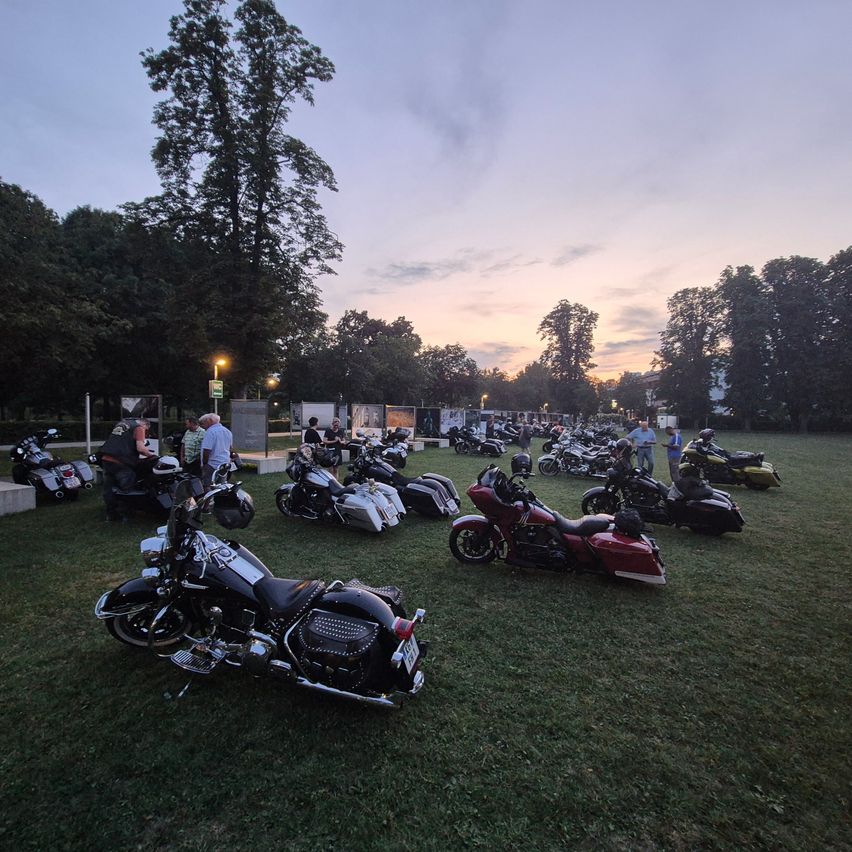 Viele Motorräder sind auf einer Wiese bei Dämmerung geparkt, mit Bäumen und Straßenlaternen im Hintergrund.
