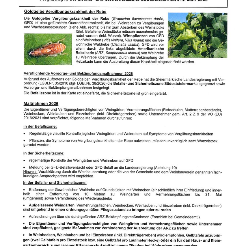 The golden yellowing disease of the grapevine (Grapevine flavescence dorée, GFD) is a dangerous quarantine disease that can cause severe yellowing and growth disorders of the leaves. The bacterial pathogen is transmitted by leafhoppers (Vitis vinifera and Vitis riparia) and the grapevine flea beetle (Arzo, Scaphoideus titanus) from American grape vines. Through control of the leafhoppers, the spread of this disease can be reduced.