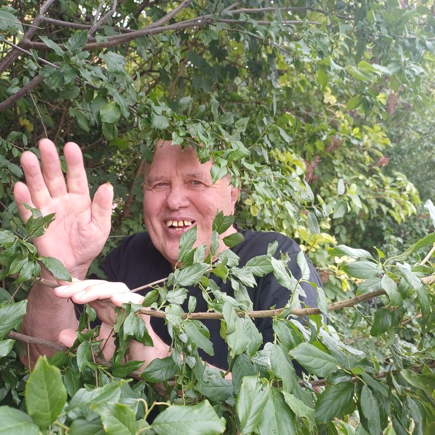 Ein älterer Mann mit einem Lächeln versteckt sich hinter einem Busch und hält einen Ast mit Blättern.