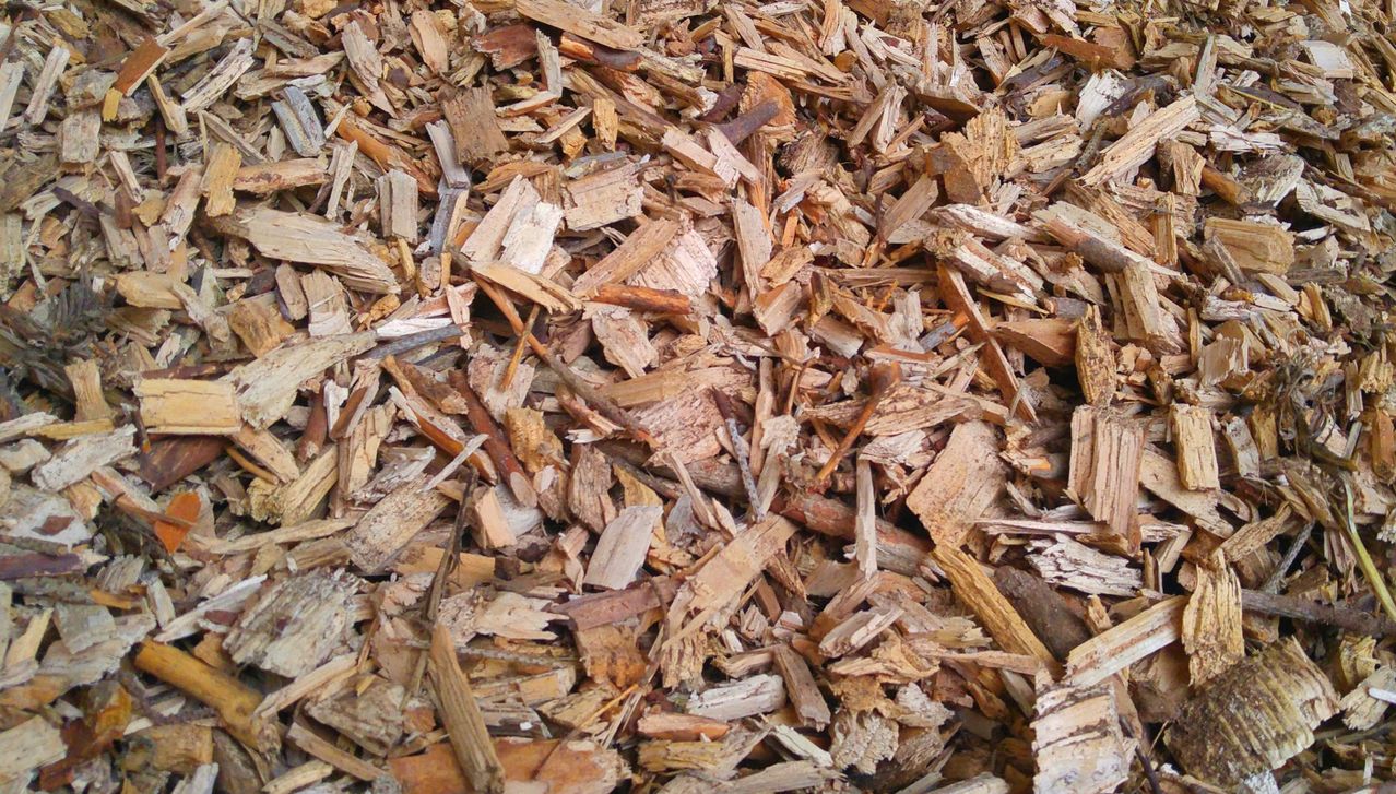 Ein Haufen Holzspäne in verschiedenen Größen und Farben. Einige sind hellbraun, andere dunkelbraun. Einige scheinen Rindenstücke zu sein.