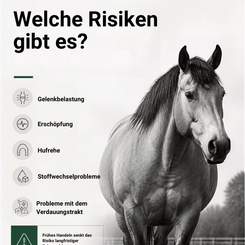Ein schwarz-weißes Bild eines Pferdes mit einer Liste von Risiken auf der linken Seite, einschließlich Gelenkbelastung, Erschöpfung, Hufprobleme, Stoffwechselprobleme und Probleme mit dem Verdauungstrakt.