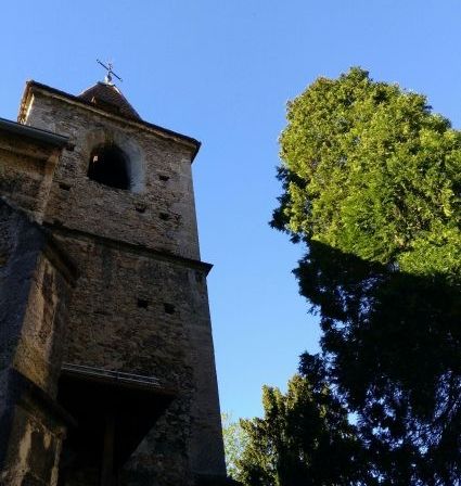 Bild enthält, Architecture, Bell Tower, Building, Tower, Monastery, Clock Tower, Spire, Plant, Tree, Vegetation