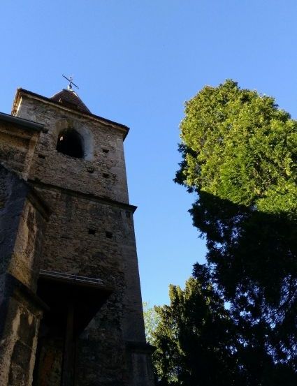 Bild enthält, Architecture, Bell Tower, Building, Tower, Monastery, Clock Tower, Spire, Plant, Tree, Vegetation