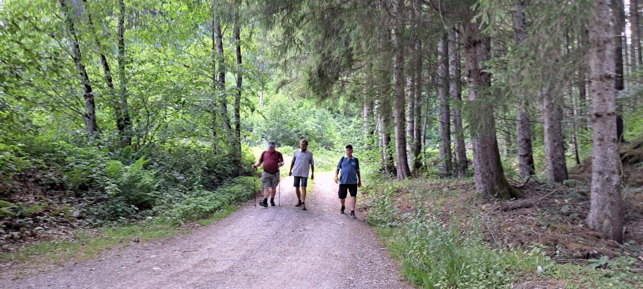 Drei Männer gehen auf einem Kiesweg im Wald, umgeben von hohen Bäumen und Grün. Sie tragen lässige Outdoor-Kleidung.