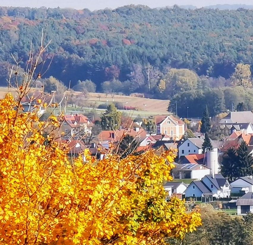 Bild enthält, Nature, Outdoors, Scenery, Countryside, Building, Rural, Landscape, Village, Autumn, Tree