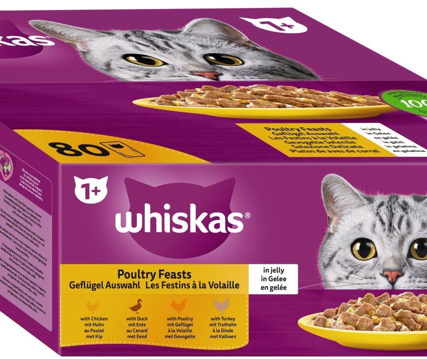 Eine Packung Whiskas Katzenfutter mit Geflügel in Gelee. Es enthält Huhn, Ente, Geflügel und Truthahn mit Forelle, Wachtel und Leber. Die Packung ist lila.
