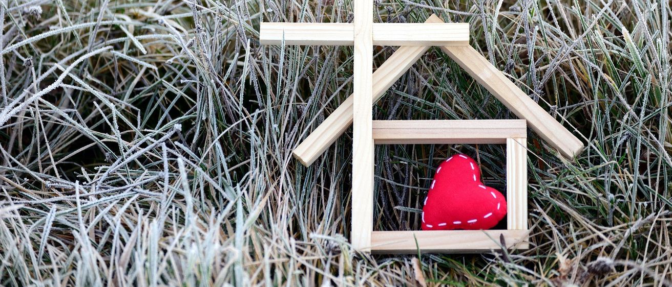 Bild enthält, Symbol, Cricket, Cricket Bat, Sport