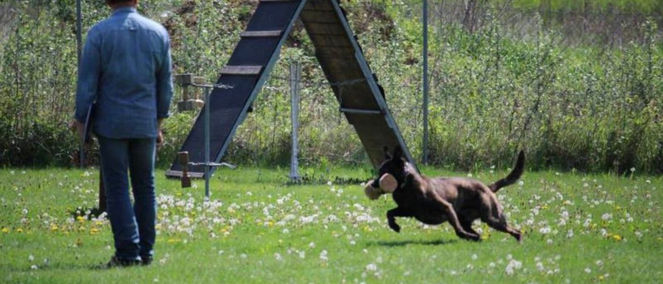 v1_migrated_image_15469064