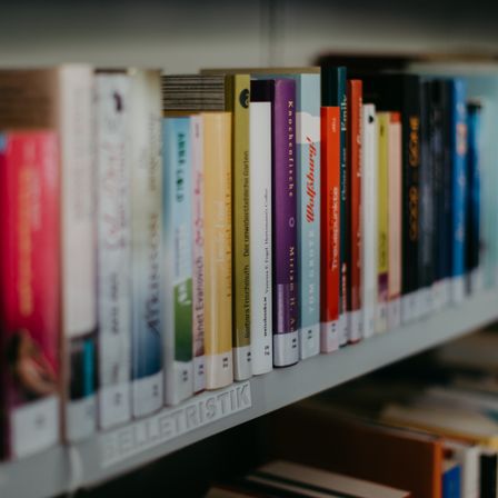 Ein Bücherregal gefüllt mit vielen Büchern in verschiedenen Größen und Farben. Die Bücher sind in einer Reihe angeordnet, und das untere Regal ist mit 'Balletristik' beschriftet.