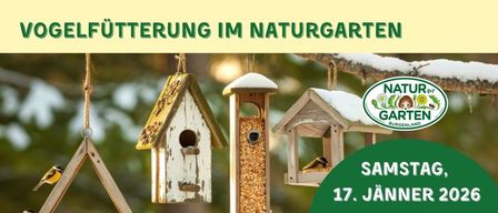 Ein Plakat für einen Vortrag von Eva Csarmann über die Unterstützung von Vögeln im Winter. Es enthält Fragen zu Vogelarten, Fütterungszeiten und Vogelhäusern. Die Veranstaltung findet am 17. Januar 2026 um 14:30 in Gattendorf statt.
