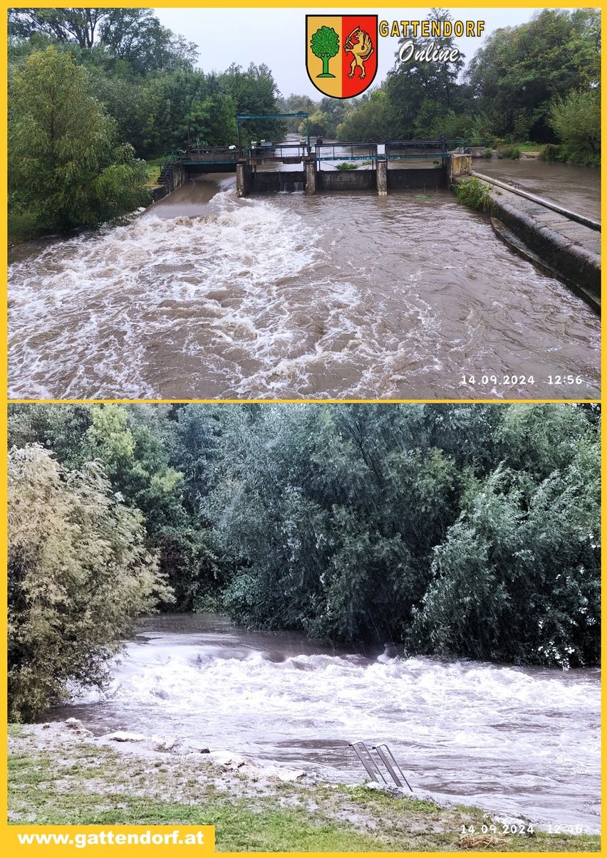 Bild enthält, Water, Flood, Outdoors, Plant, Vegetation