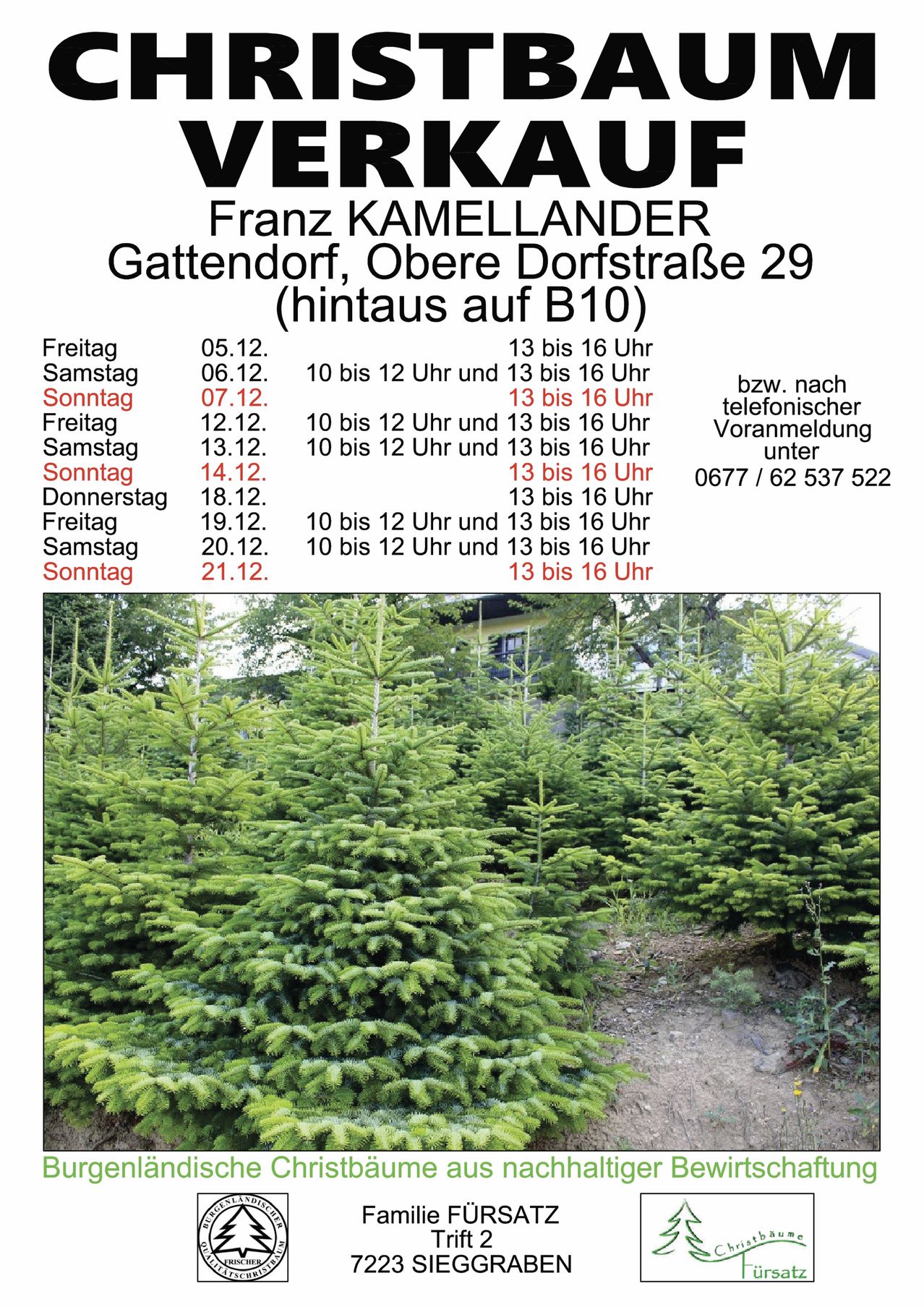 Franz Kammlander in Gattendorf. Verkaufszeiten für Weihnachtsbäume. Adresse ist Obere Dorfstrasse 29. Telefonnummer angegeben.