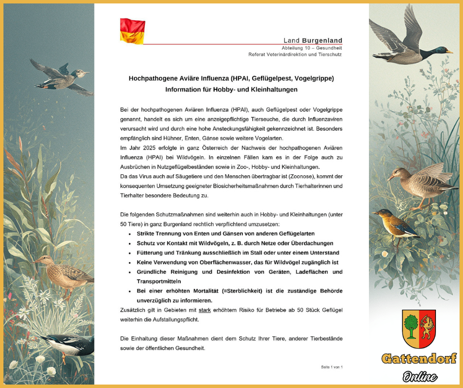 Das Dokument behandelt die hochpathogene Aviäre Influenza (HPAI) oder Geflügelpest, eine gefährliche Geflügelkrankheit, die durch Influenzaviren verursacht wird. Es betont die Notwendigkeit von Biosicherheitsmaßnahmen in Hobby- und Kleinhaltungen. Das Virus ist hochansteckend und betrifft Vögel wie Hühner, Enten, Gänse und Wildvögel. Im Jahr 2025 erlebte Österreich einen Ausbruch, was zu Maßnahmen wie strenger Trennung, Desinfektion und Überwachung führte. Die zuständigen Behörden verlangen diese Maßnahmen.