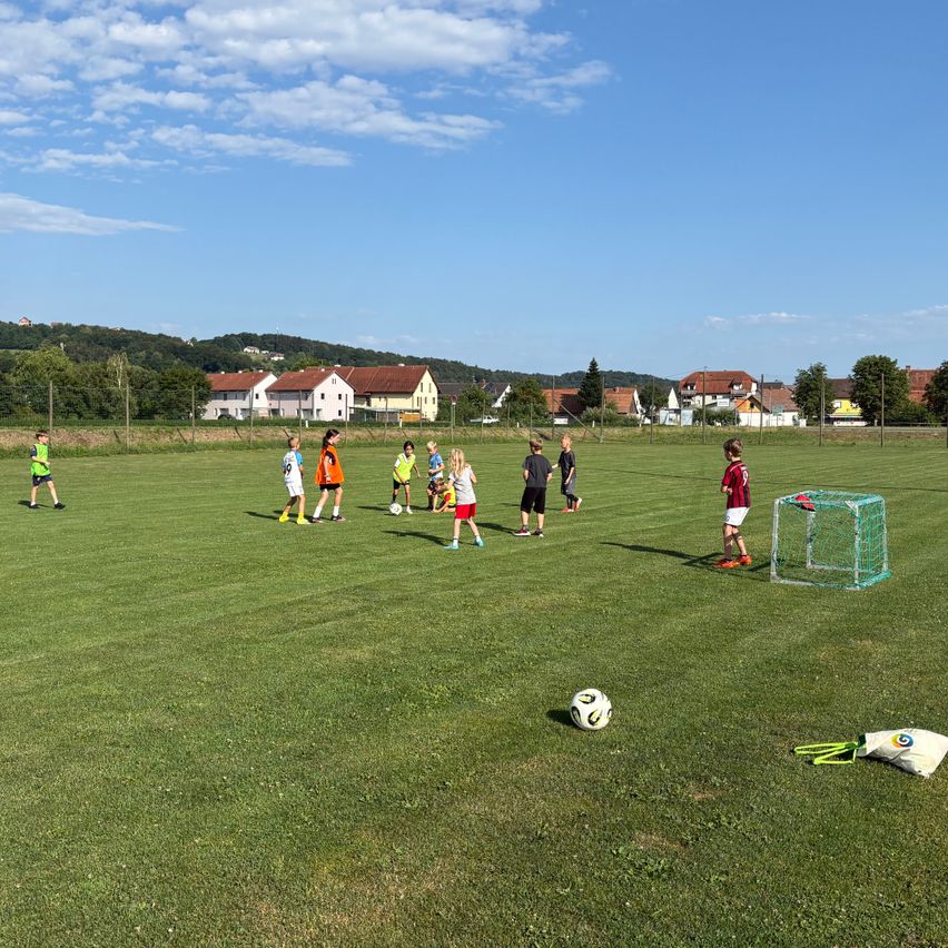 Eine Gruppe von Kindern in verschiedenen farbigen Trikots spielt Fußball auf einem Rasenfeld mit aufgestelltem Tornetz. Ein Fußball liegt am Boden in der Nähe des Netzes.