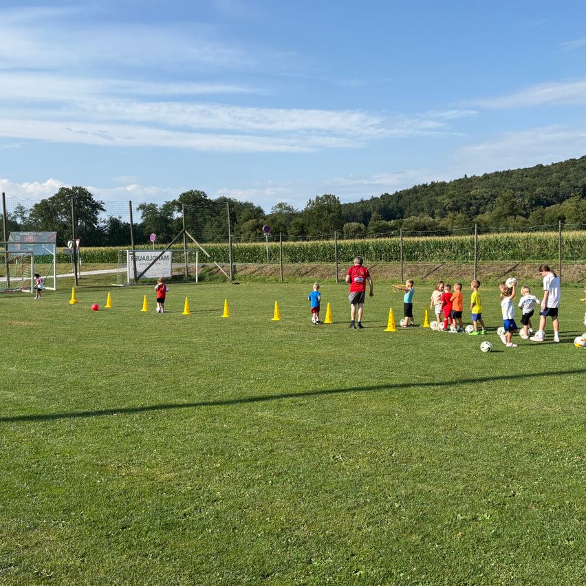 Eine Gruppe von Kindern spielt Fußball auf einem Feld mit einem Trainer. Sie üben mit Hütchen und Fußballbällen.