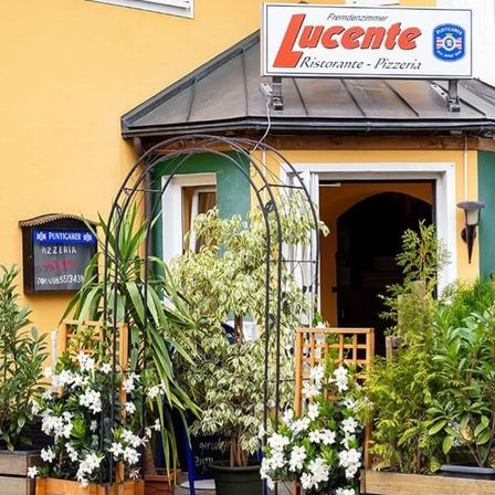 Bild enthält, Plant, Potted Plant, Jar, Planter, Pottery, Vase, Indoors, Interior Design