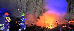 Feuerwehrleute in Schutzkleidung löschen mit einem Schlauch ein Feuer in einem Wald. Bäume und Rauch umgeben die brennenden Trümmer.