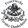 Das Emblem der Feuerwehr Ternitz-Dunkelstein zeigt einen Feuerwehrhelm, zwei Äxte und einen Lorbeerkranz. Oben steht 'Feuerwehr' und unten 'Ternitz-Dunkelstein'.