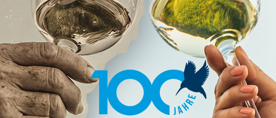 Zwei Hände halten Weingläser mit weißem Wein. Die Gläser haben Reflexionen des Himmels und Gras. Der Plakattext lautet '100 Jahre Neusiedl Stadt am See'. Ein Vogellogo ist auf dem Plakat.