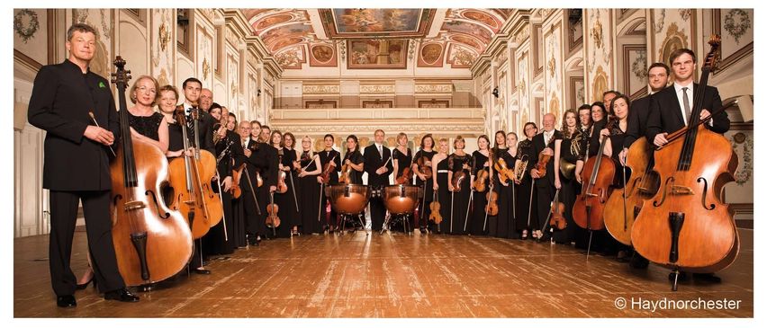 Bild enthält, Adult, Male, Man, Person, Cello, Musical Instrument, Indoors, Group Performance, Orchestra, Bird