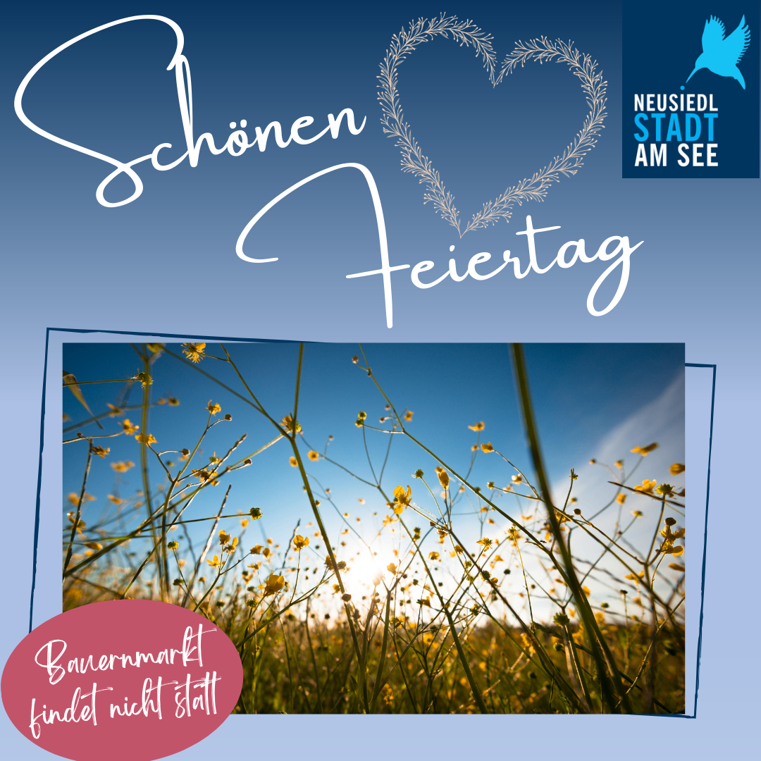 Ein blauer Himmel mit einem Herzdesign auf einem Feld mit gelben Blumen. Darunter steht ein roter Text, der "Bauernmarkt findet nicht statt" besagt.