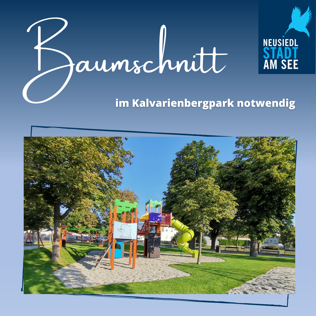 Ein Park mit einer Rutsche und Klettergerüst unter Bäumen. Es ist ein blauer Himmel.